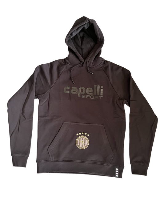 Logo Fleece Raglan Pullover Hoodie